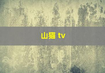 山猫 tv